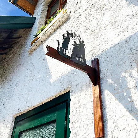 Katzenhaus * Troisdorf